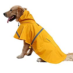 Detail Raincoat For Labrador Nomer 8