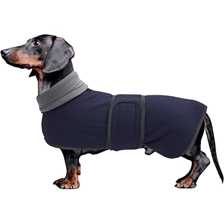 Detail Raincoat For Miniature Dachshund Nomer 33