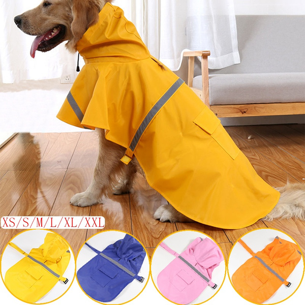 Raincoats For Labradors - KibrisPDR