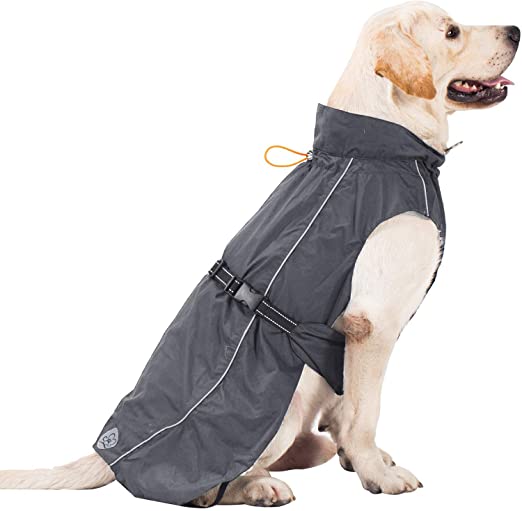 Detail Raincoats For Labradors Nomer 11