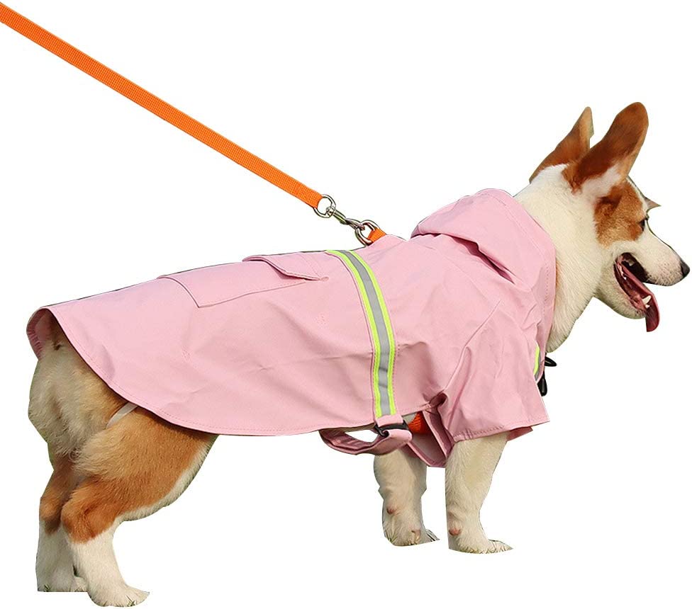 Detail Raincoats For Labradors Nomer 12