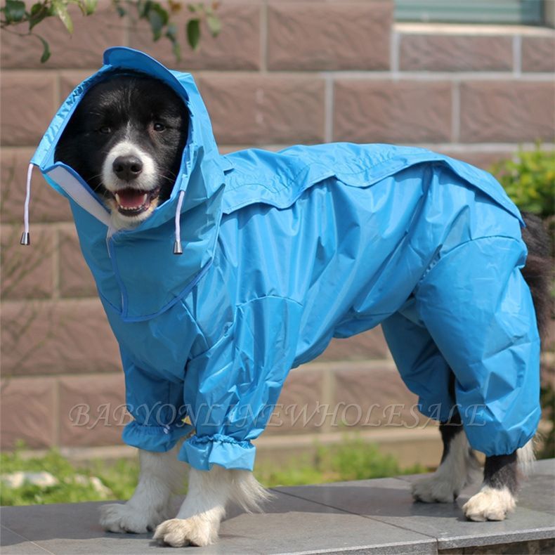 Detail Raincoats For Labradors Nomer 13
