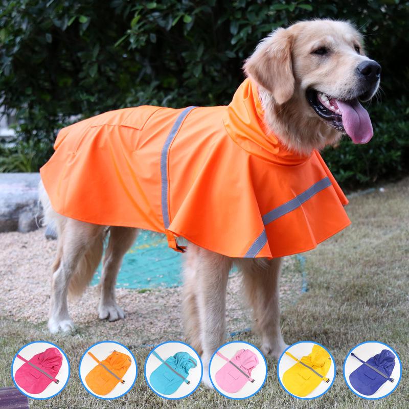 Detail Raincoats For Labradors Nomer 14