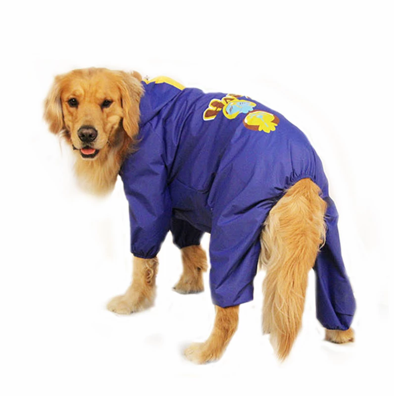 Detail Raincoats For Labradors Nomer 16