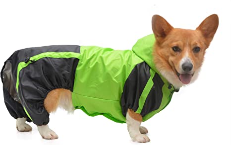 Detail Raincoats For Labradors Nomer 20
