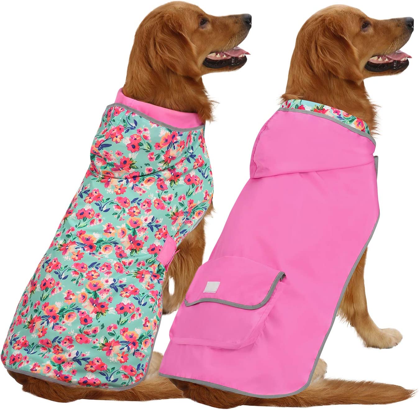 Detail Raincoats For Labradors Nomer 23