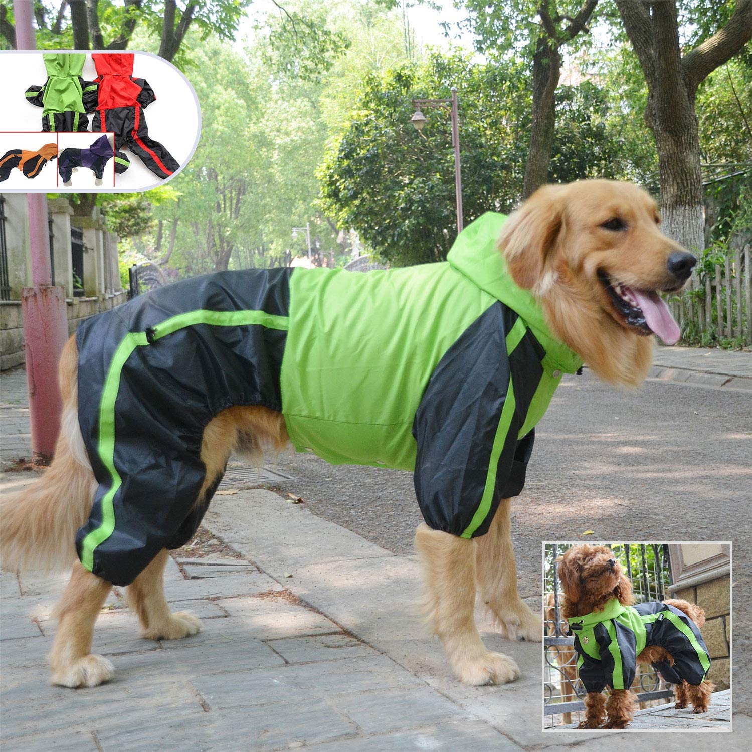 Detail Raincoats For Labradors Nomer 24