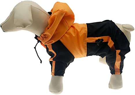 Detail Raincoats For Labradors Nomer 25