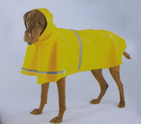 Detail Raincoats For Labradors Nomer 28