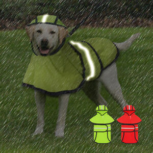 Detail Raincoats For Labradors Nomer 31