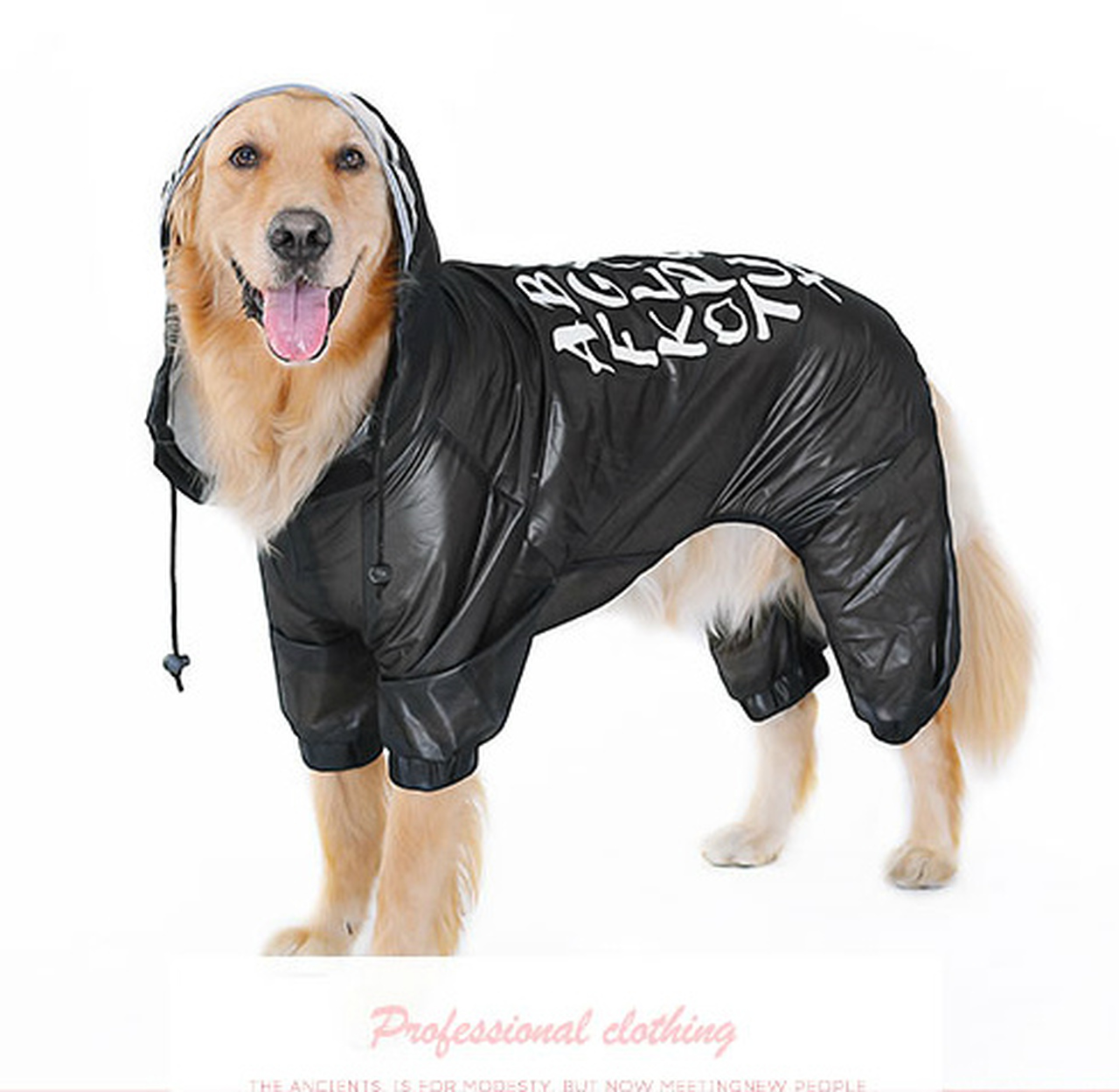 Detail Raincoats For Labradors Nomer 35