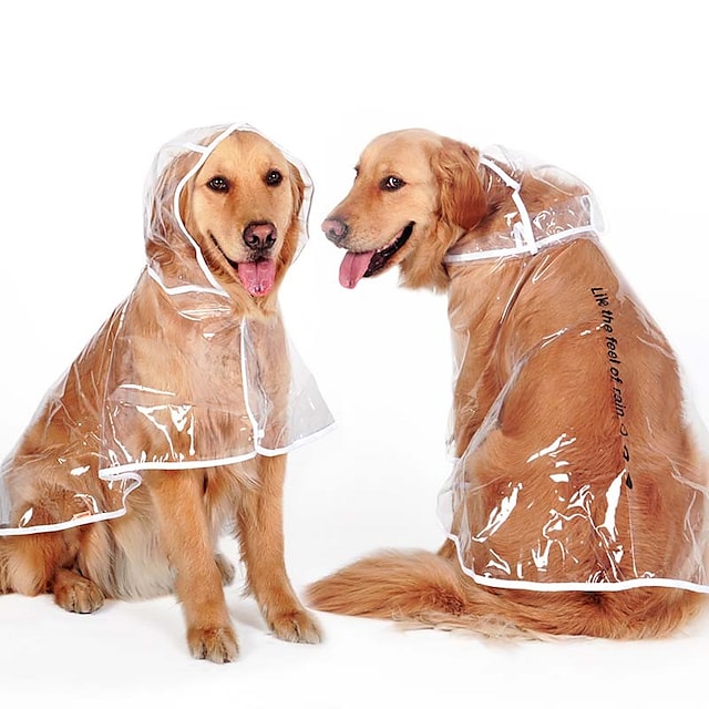 Detail Raincoats For Labradors Nomer 36
