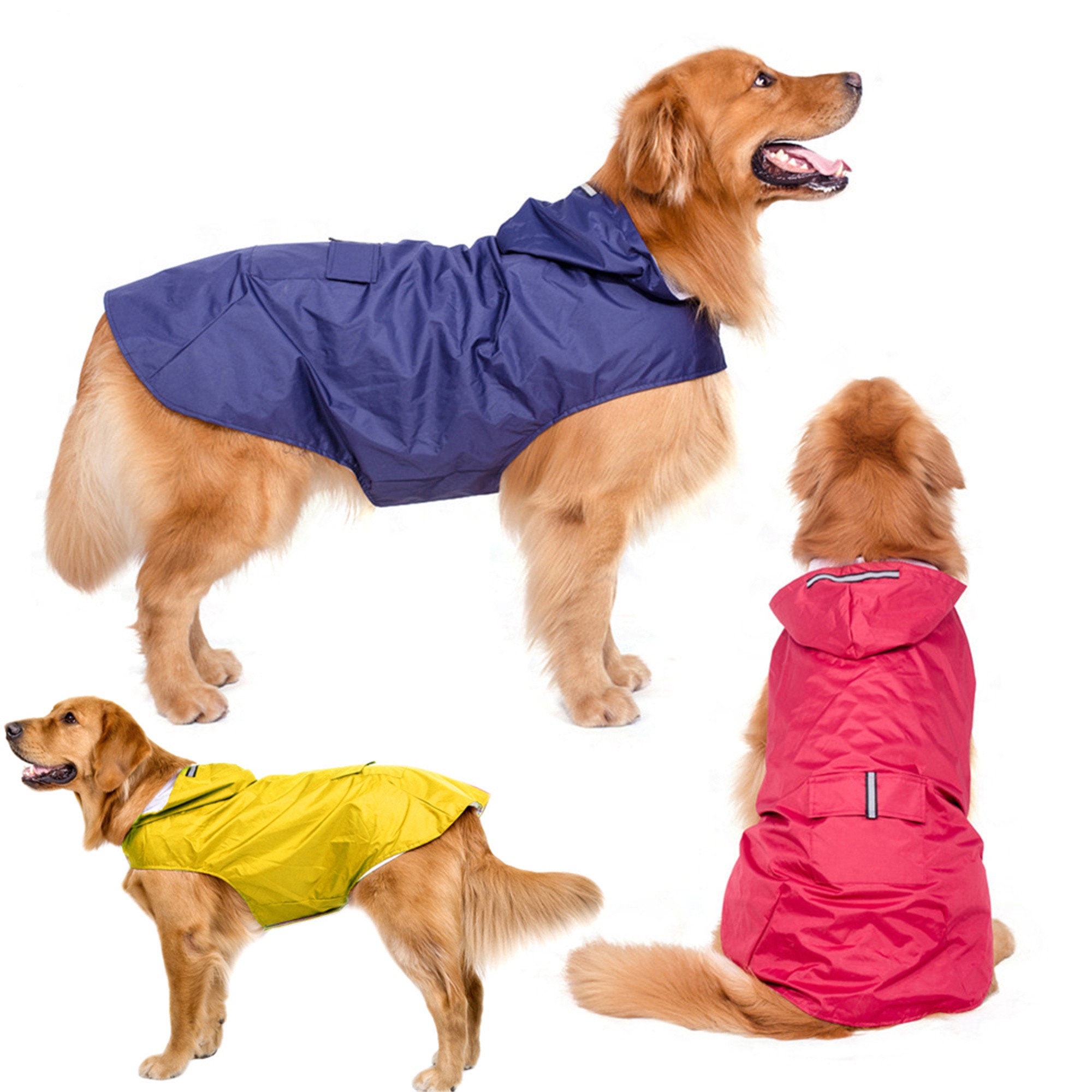 Detail Raincoats For Labradors Nomer 37