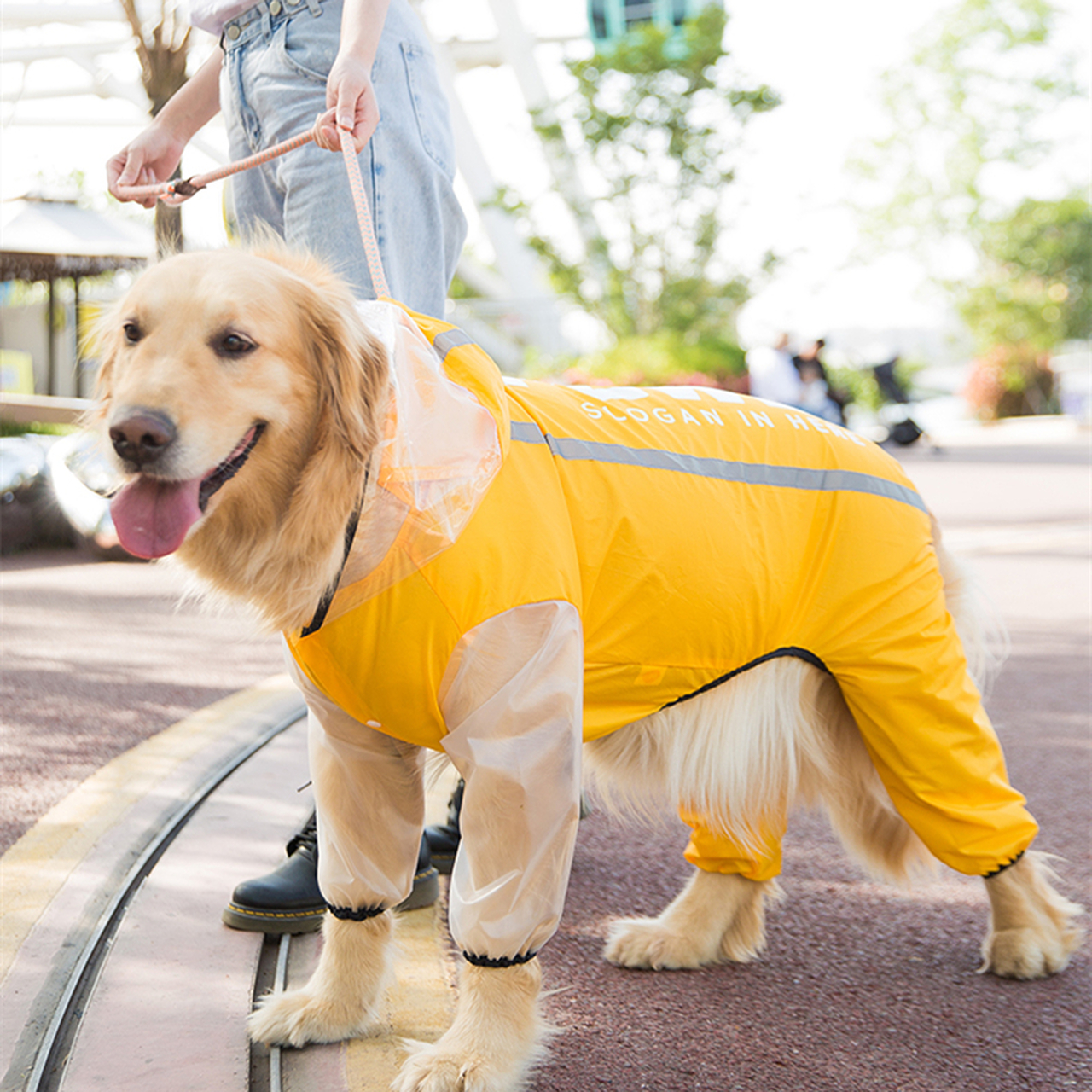 Detail Raincoats For Labradors Nomer 39