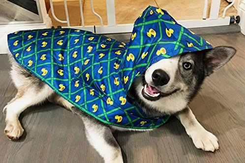 Detail Raincoats For Labradors Nomer 40