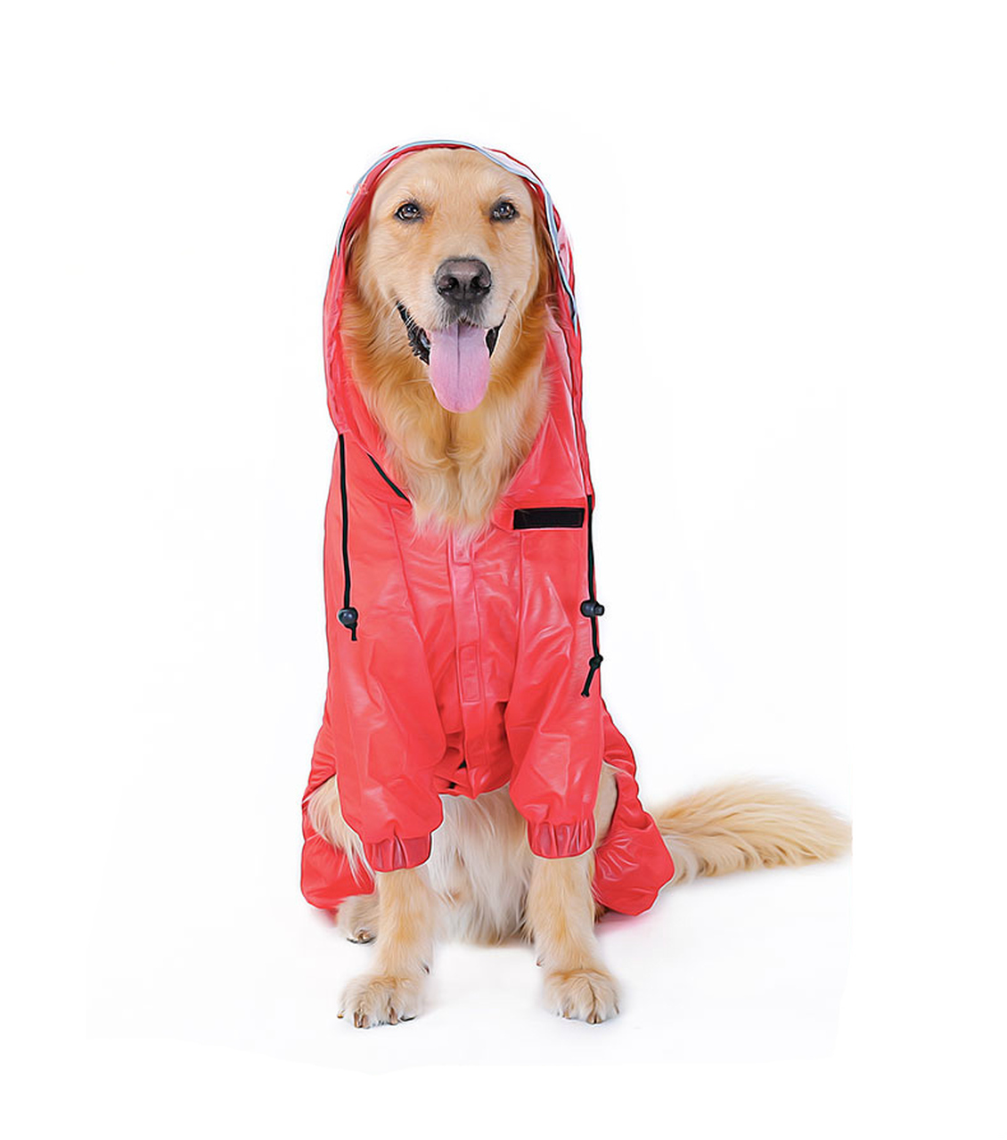 Detail Raincoats For Labradors Nomer 41
