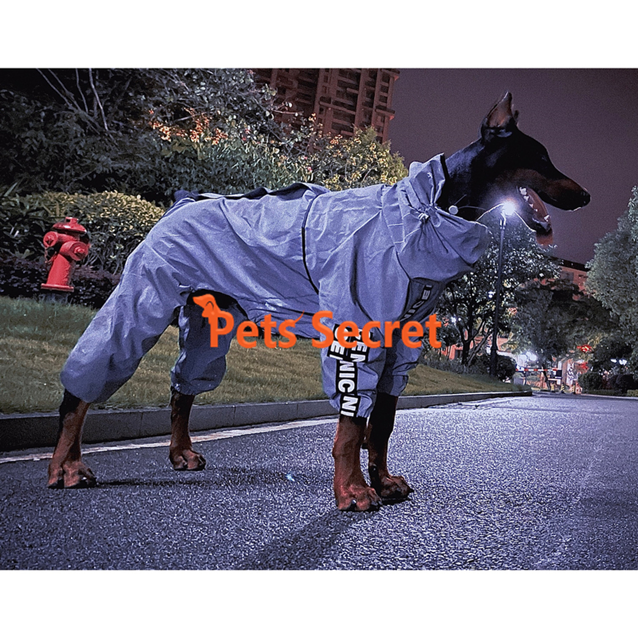 Detail Raincoats For Labradors Nomer 42