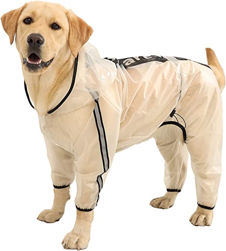 Detail Raincoats For Labradors Nomer 44