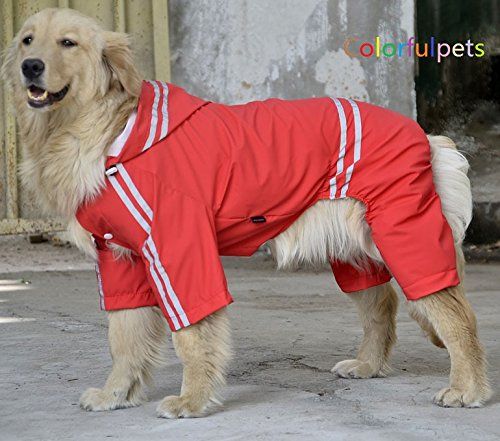 Detail Raincoats For Labradors Nomer 46