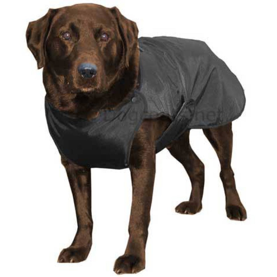 Detail Raincoats For Labradors Nomer 47