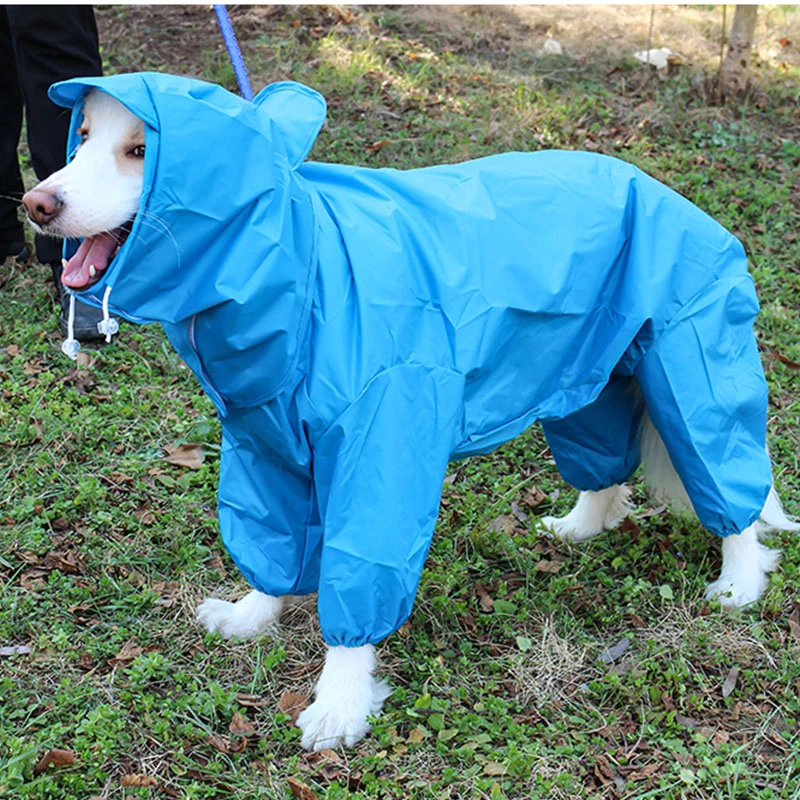 Detail Raincoats For Labradors Nomer 6