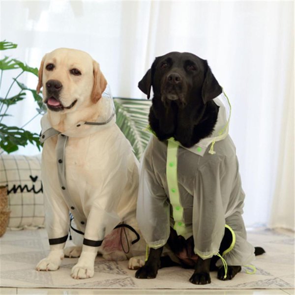 Detail Raincoats For Labradors Nomer 54