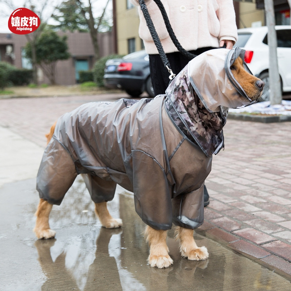 Detail Raincoats For Labradors Nomer 55