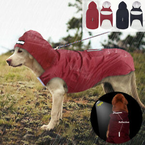 Detail Raincoats For Labradors Nomer 9