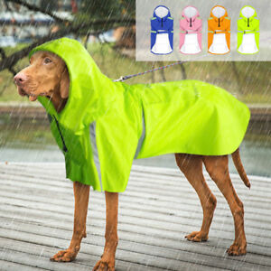 Detail Raincoats For Labradors Nomer 10