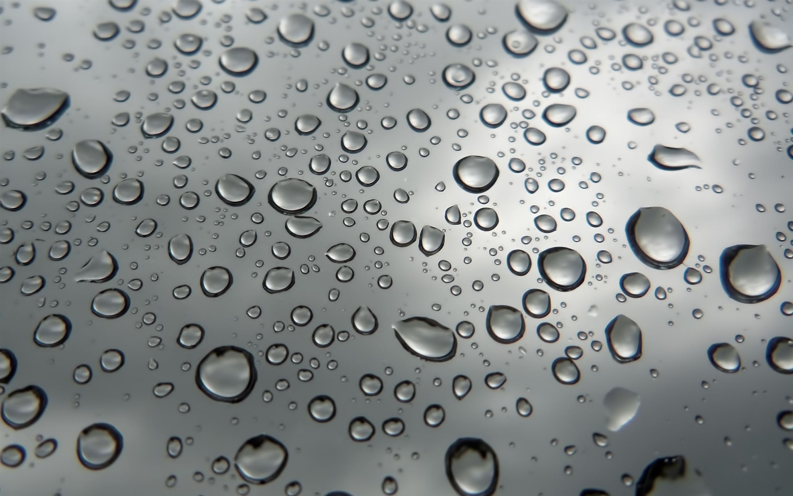 Detail Raindrop Wallpaper Nomer 32