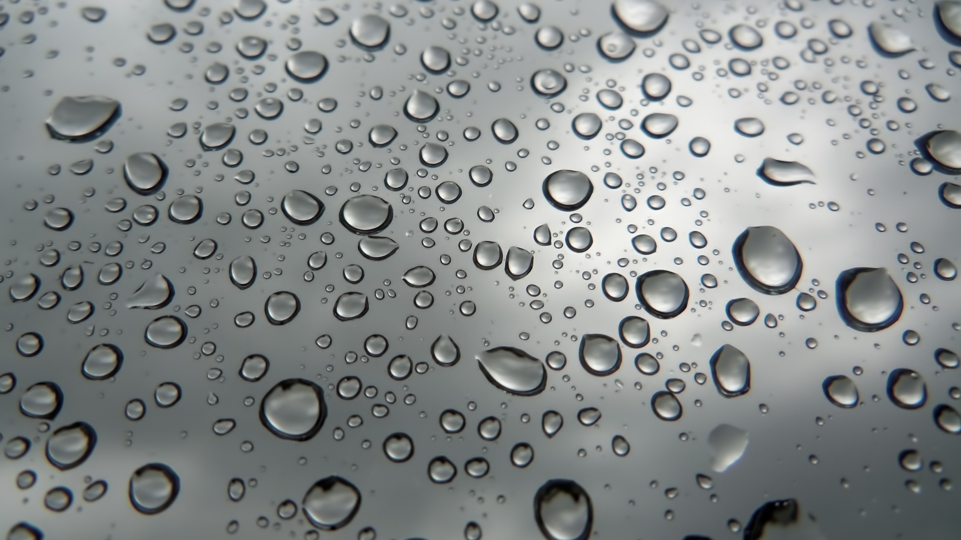 Detail Raindrop Wallpaper Nomer 10