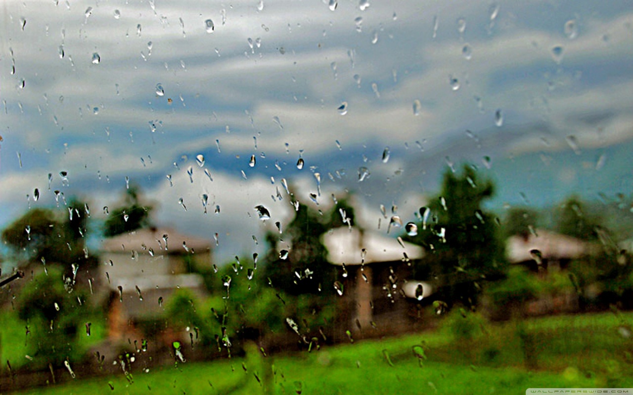 Detail Rainy Day Wallpaper Nomer 21