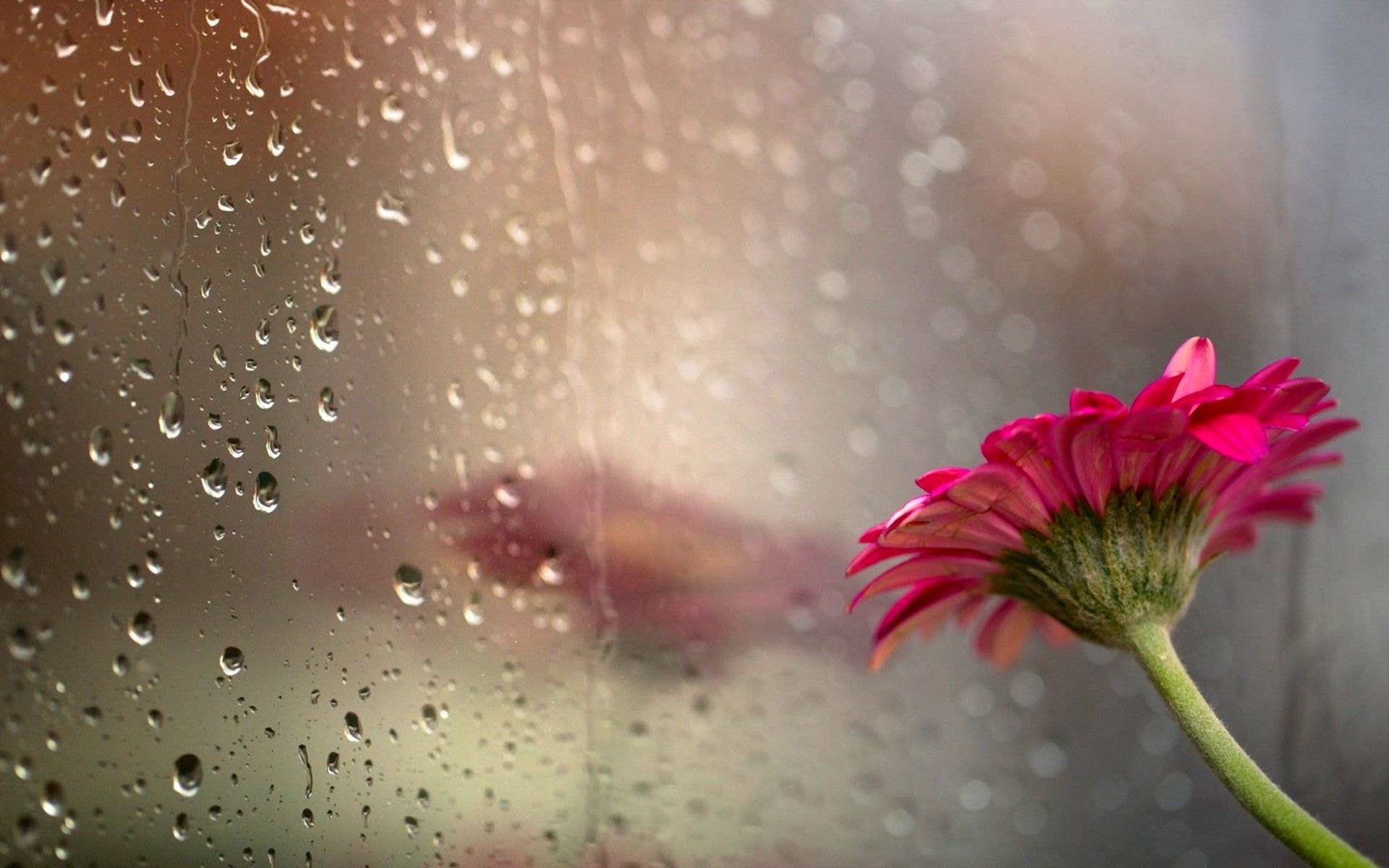 Detail Rainy Wallpaper Hd Nomer 46