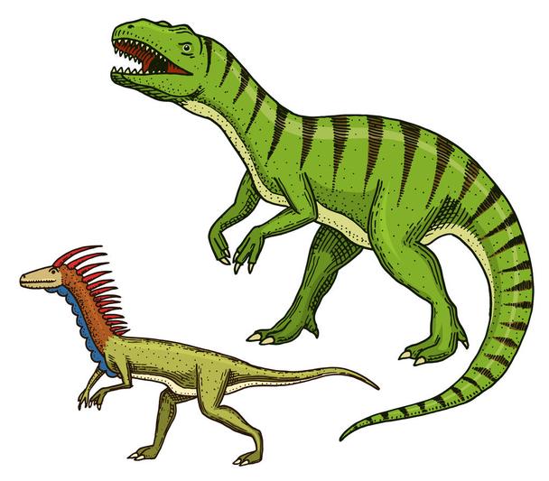 Detail Dinosaurier Eier Nomer 14