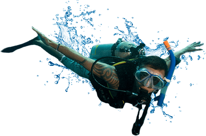 Detail Diver Transparent Nomer 14