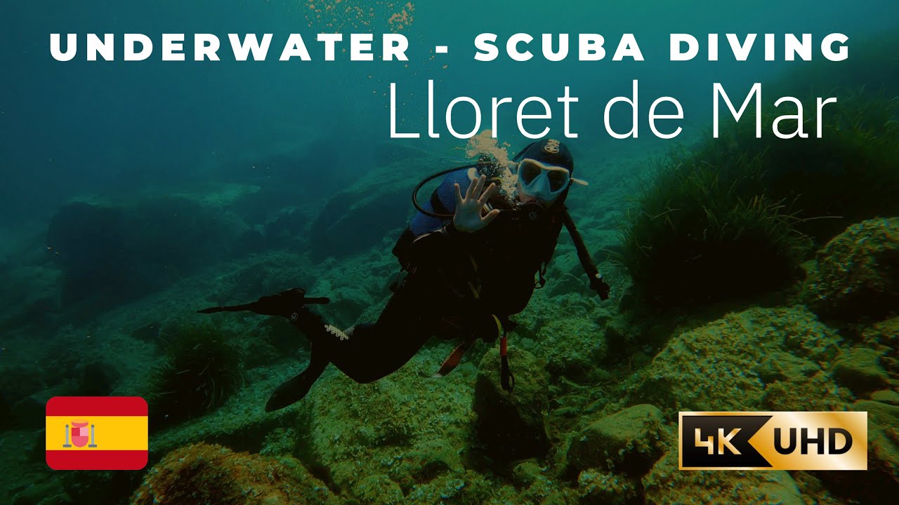 Detail Diving Lloret De Mar Nomer 19