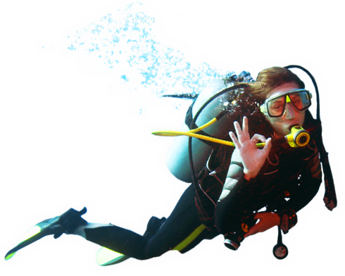 Detail Diving Png Nomer 3