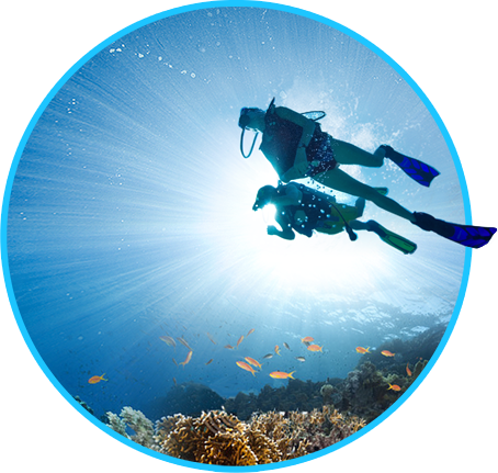 Detail Diving Png Nomer 36