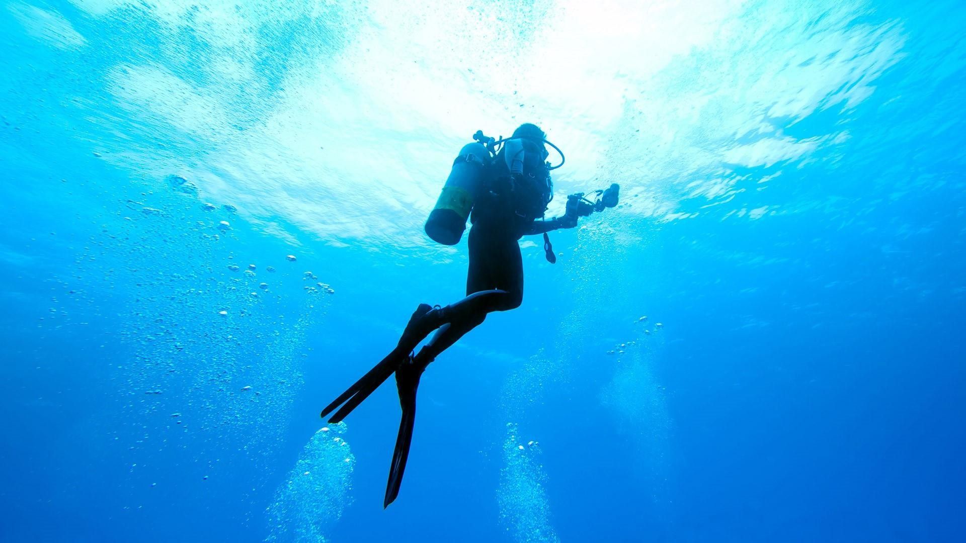 Diving Wallpaper - KibrisPDR