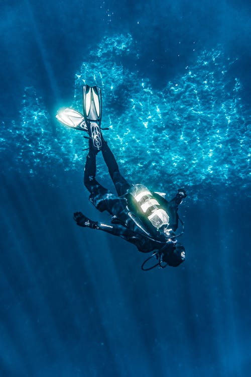 Detail Diving Wallpaper Nomer 2
