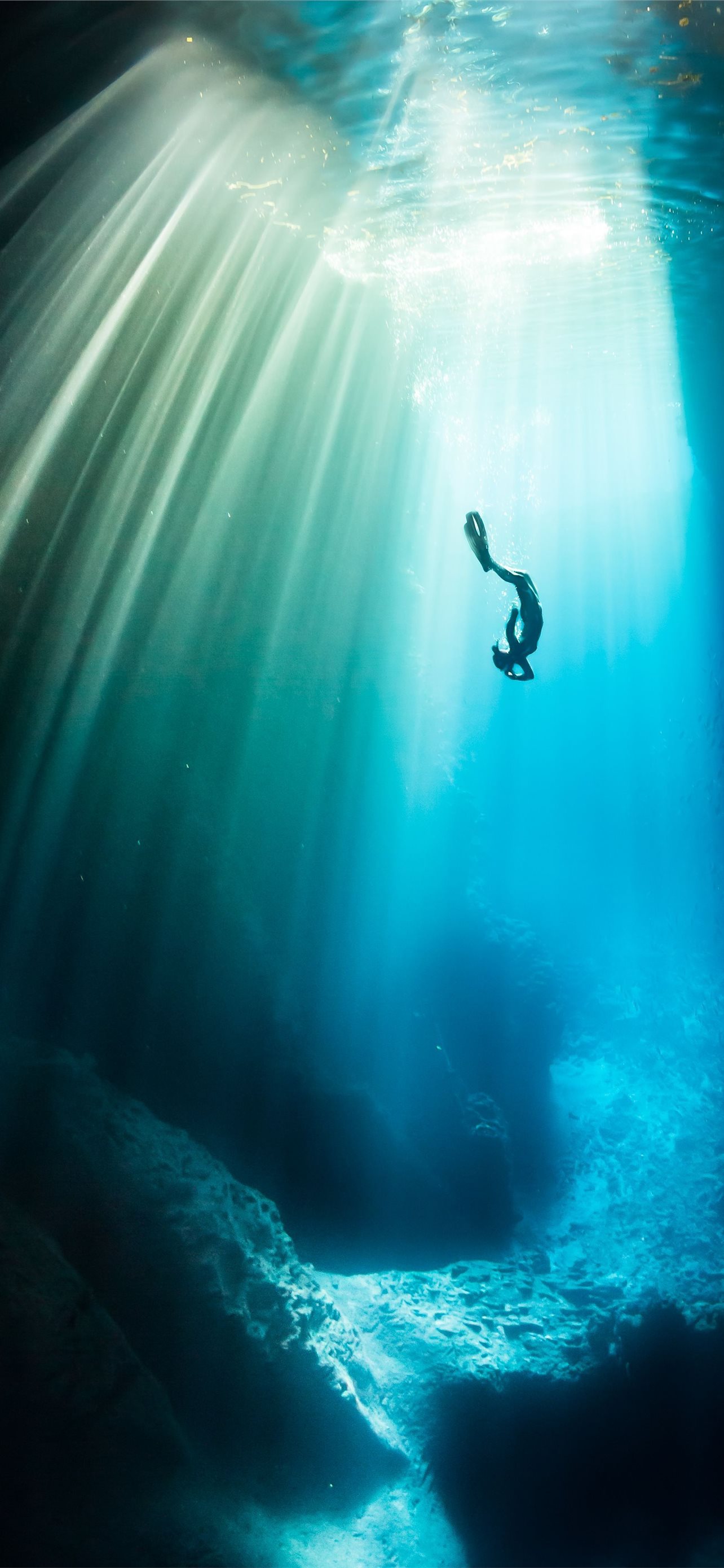 Detail Diving Wallpaper Nomer 14