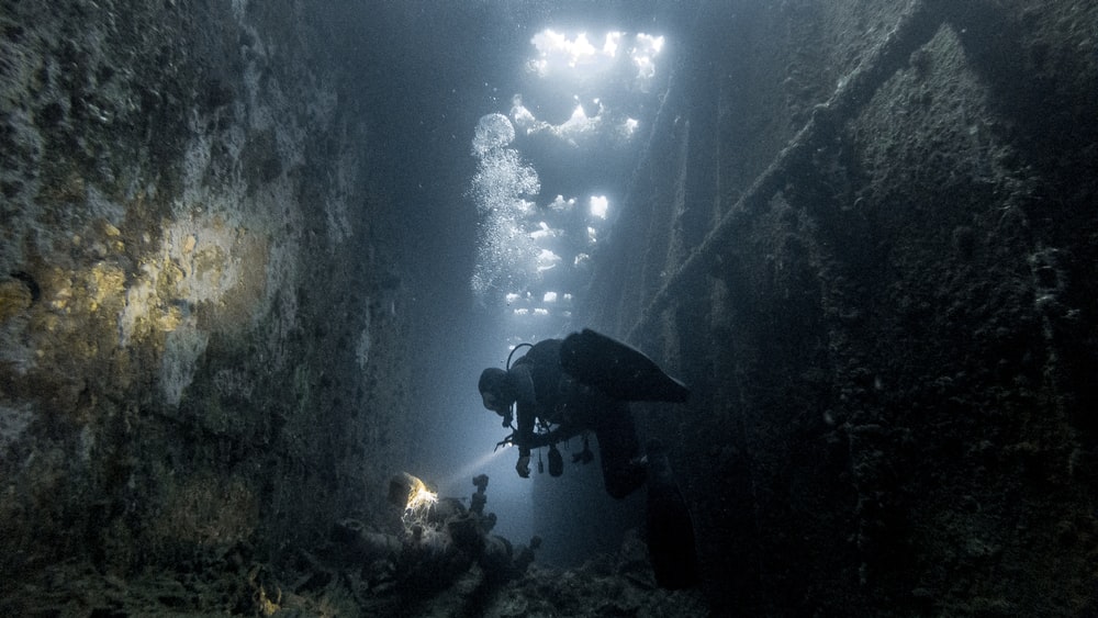 Detail Diving Wallpaper Nomer 16