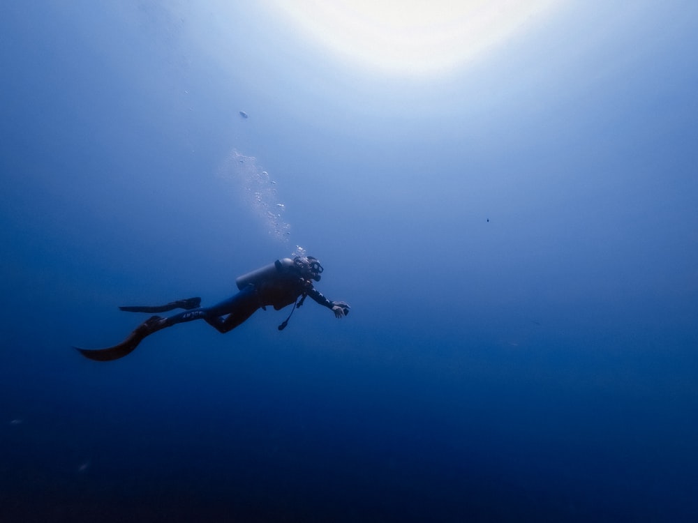 Detail Diving Wallpaper Nomer 18