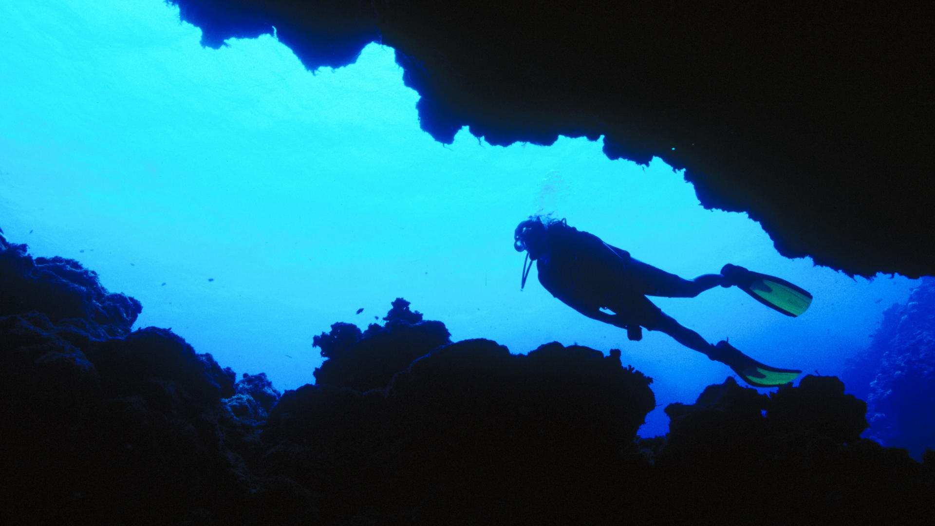 Detail Diving Wallpaper Nomer 27