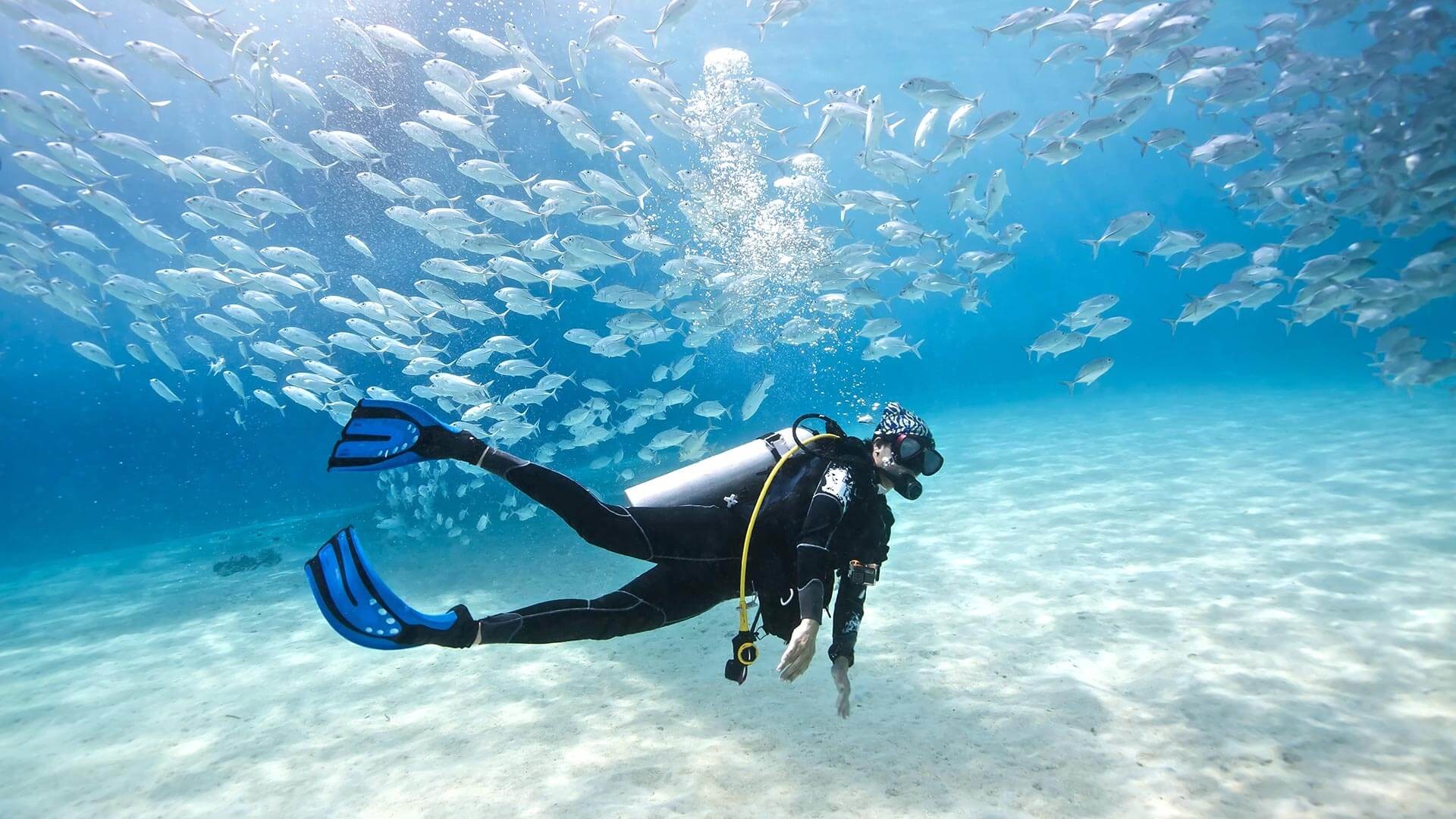 Detail Diving Wallpaper Nomer 32