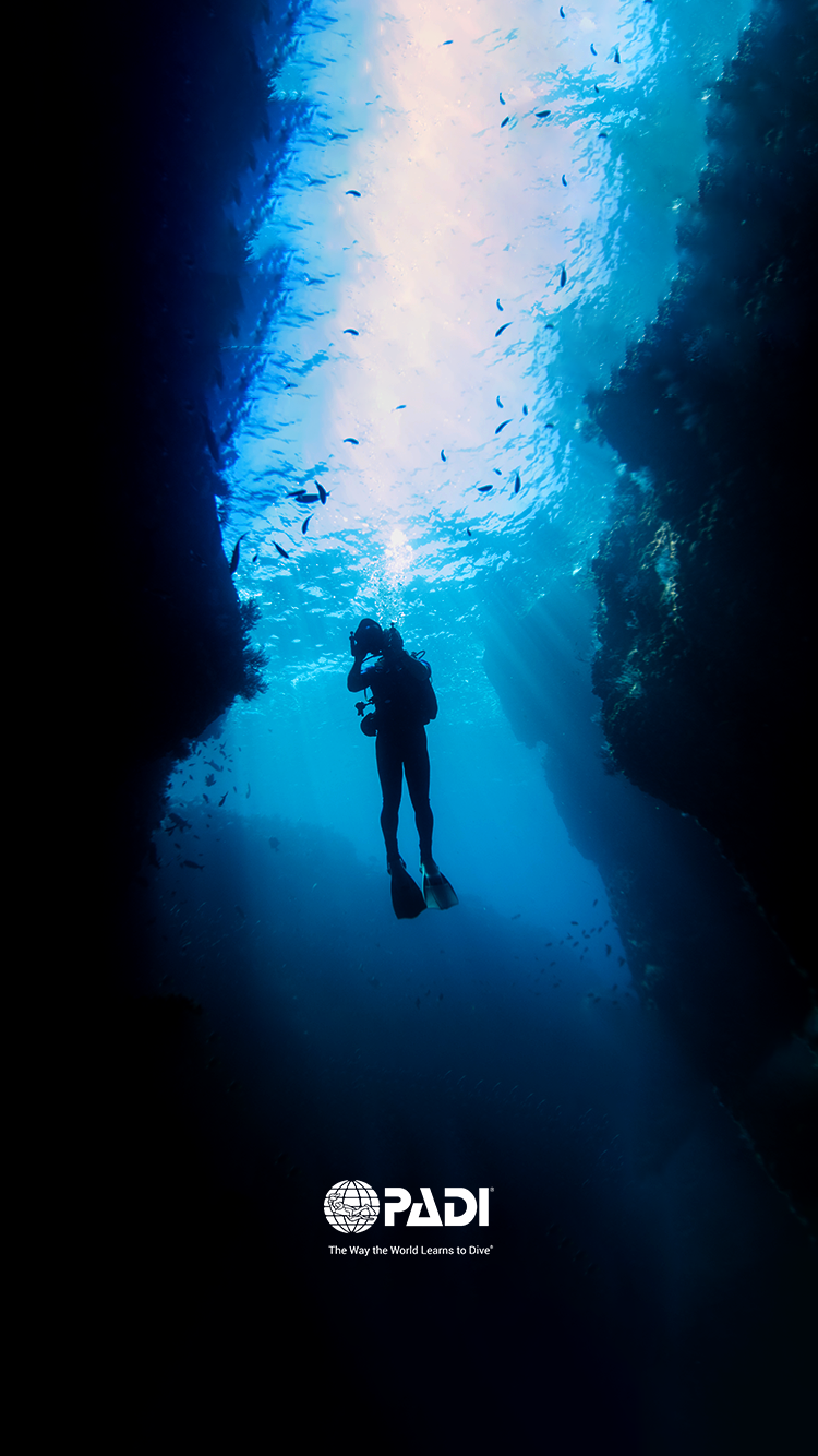 Detail Diving Wallpaper Nomer 33