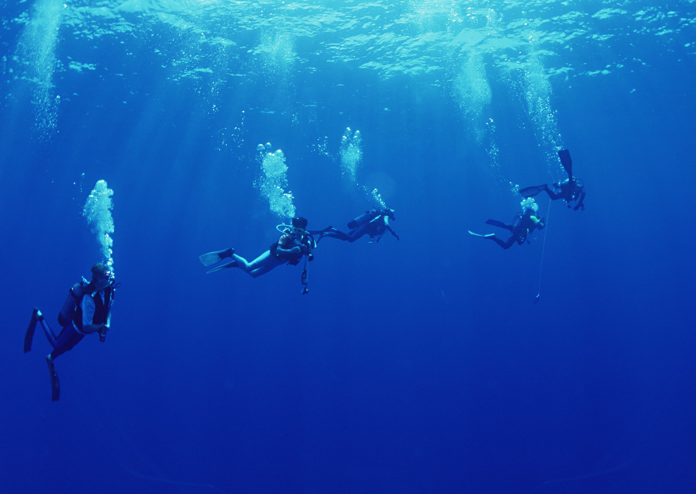Detail Diving Wallpaper Nomer 35