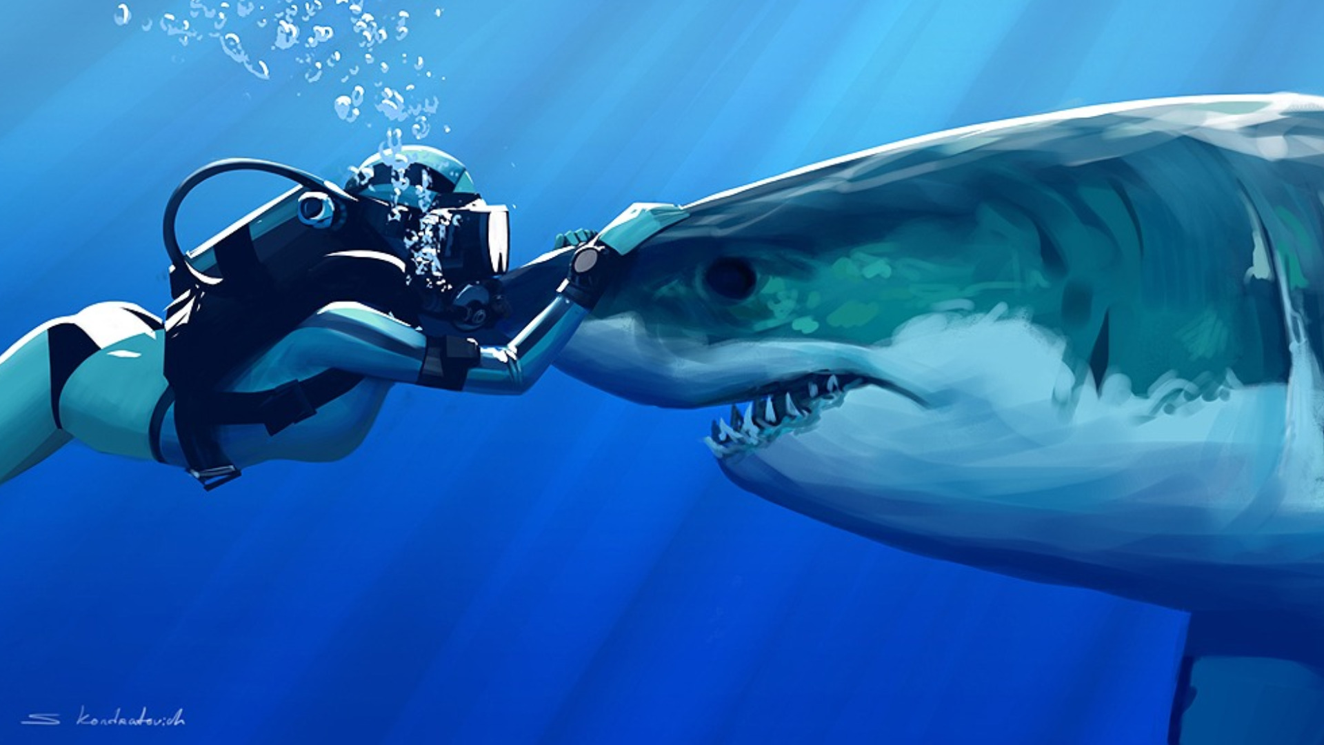 Detail Diving Wallpaper Nomer 38
