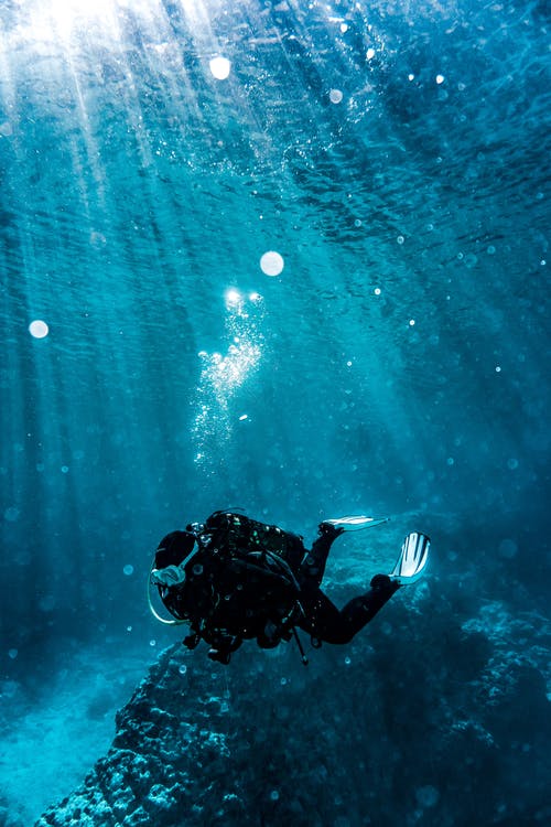 Detail Diving Wallpaper Nomer 7
