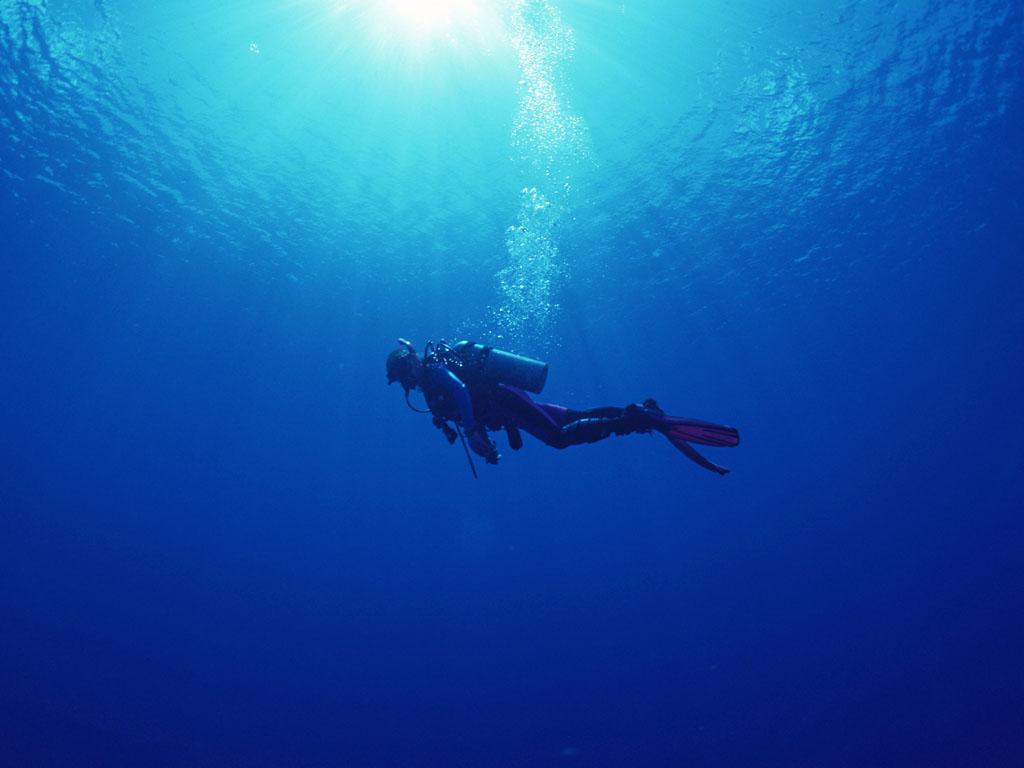 Detail Diving Wallpaper Nomer 9